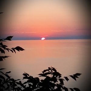 Meet your Posher, Cathy